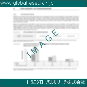 グローバルリサーチ調査資料のイメージ